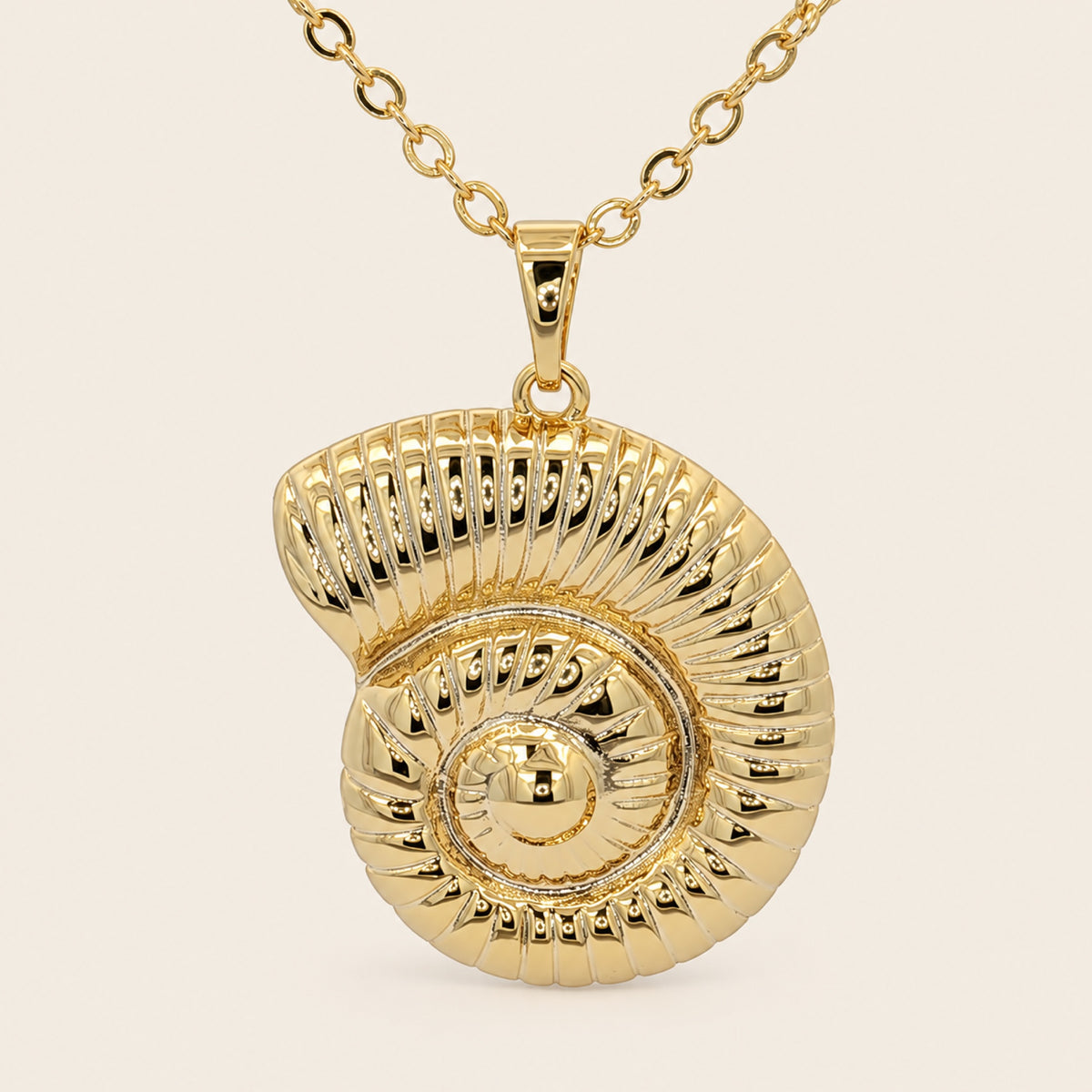 Juego de Gargantilla y Aretes de Caracol de Oro Laminado