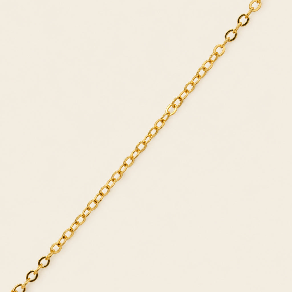 Juego de Gargantilla y Aretes de Caracol de Oro Laminado