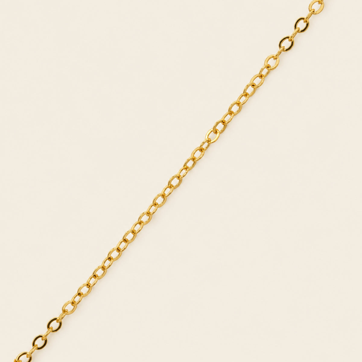 Juego de Gargantilla y Aretes de Caracol de Oro Laminado