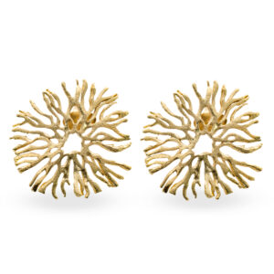 Bauru: Aretes Coral