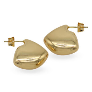 Santarém: Aretes