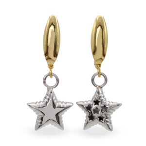 Aretes de Estrellas