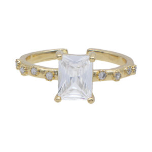 Anillo Ajustable de Chapa