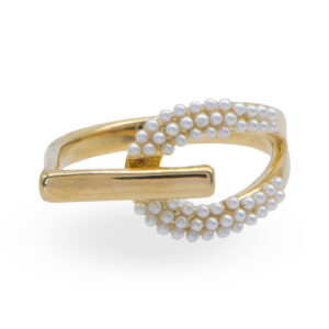 Anillo Ajustable de Chapa