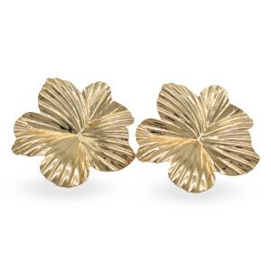 Beija-flor: Aretes